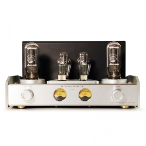 REISONG Boyuu A60 Tube amplifier 845 single-ended high-power amplifier Hi-end Audio HIFI Amp