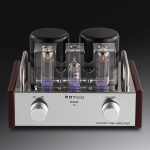 REISONG BOYUU A2 6P14 EL84 Vacuum Tubes Amplifier Single-Ended HiFi Tube Amp