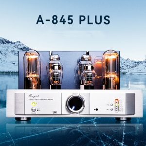 Cayin A-845 PLUS Hifi Vacuum Tube Integrated Amplifier Tube Power Amplifier Class A 300b 845 Single-end Amplifier 25W*2