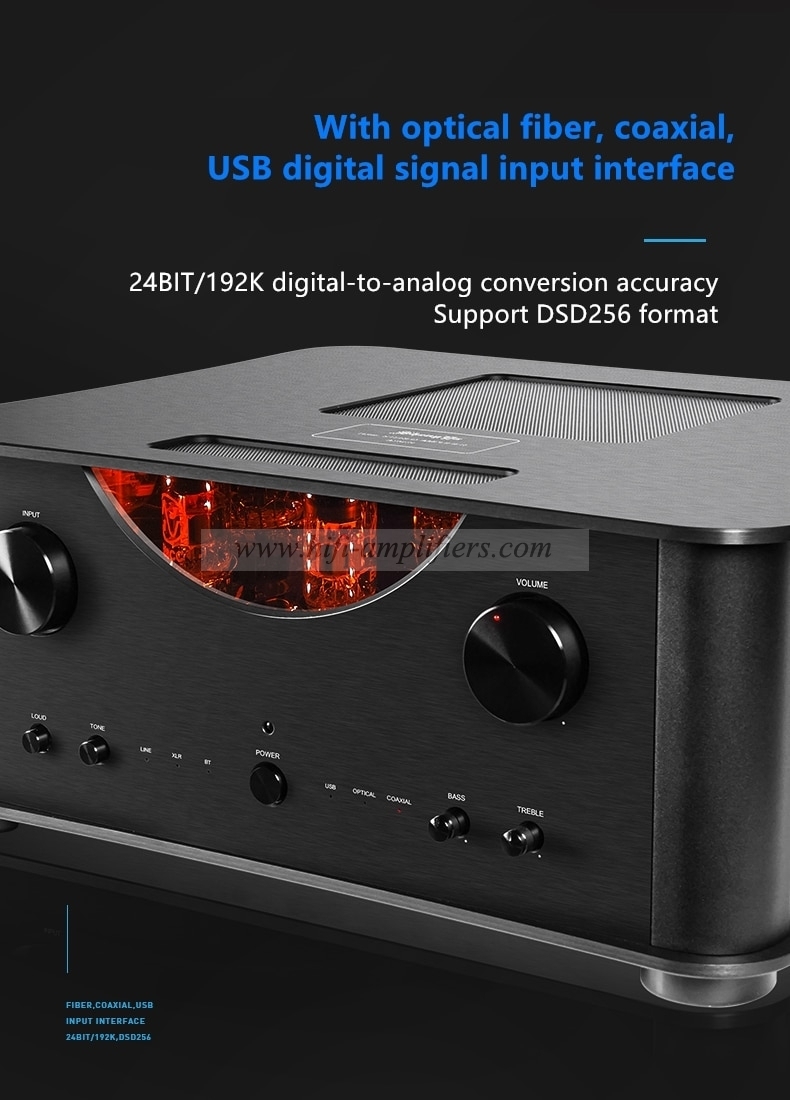 Shengya A-25CS/A25CS Tube and Transistor Combined Hybrid Amplifier HIFI Wireless Digital Audio Connection
