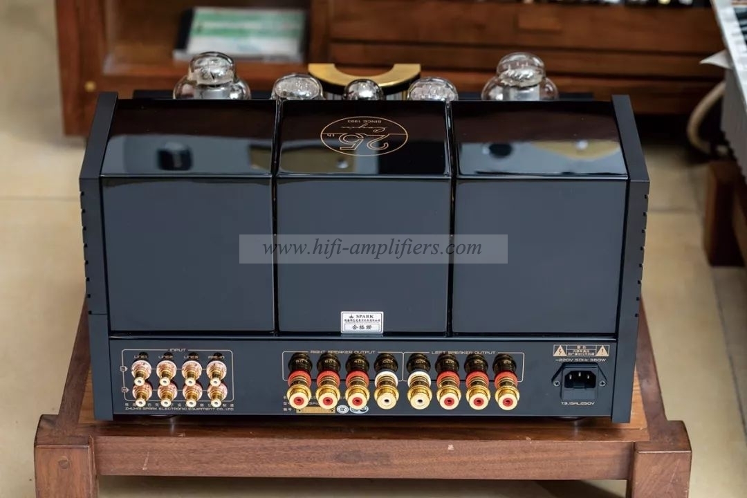 Cayin A-845Pro Vacuum Tube Integrated Amplifier AMP 300 845 Single-ended Class A 25W*2 25th Global Limited Sale