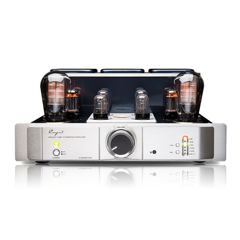 Cayin A-300B MK2 Vacuum Tube Amplifier Tube 300Bx2 Single-ended Class A Power Amplifier Pre-in Mono Amplifier 8W*2