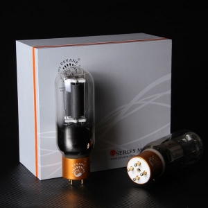 PSVANE Vacuum tube 845-TII MARKII 845 Collectors Edition T Series Tube Amplifier Kit Hifi Audio Valve Precision Matching