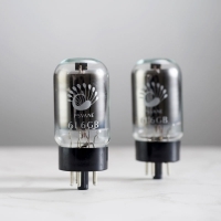 PSVANE 6L6GB Vacuum Tube Replace 5881 6L6G 6CA7 EL34 6P3P 6L6GC 6L6 Electronic Tube Matched Pair