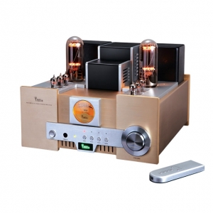 YAQIN MS-650B 845 Tube Amplifier Single-ended Class A Lamp amp 12AT7 12AU7 with Remote